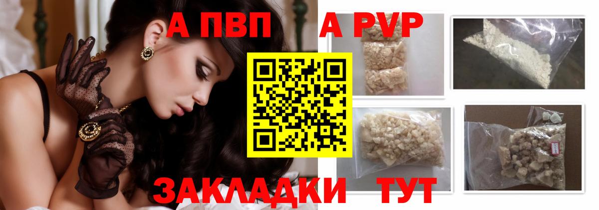 A PVP СК КРИС Шебекино