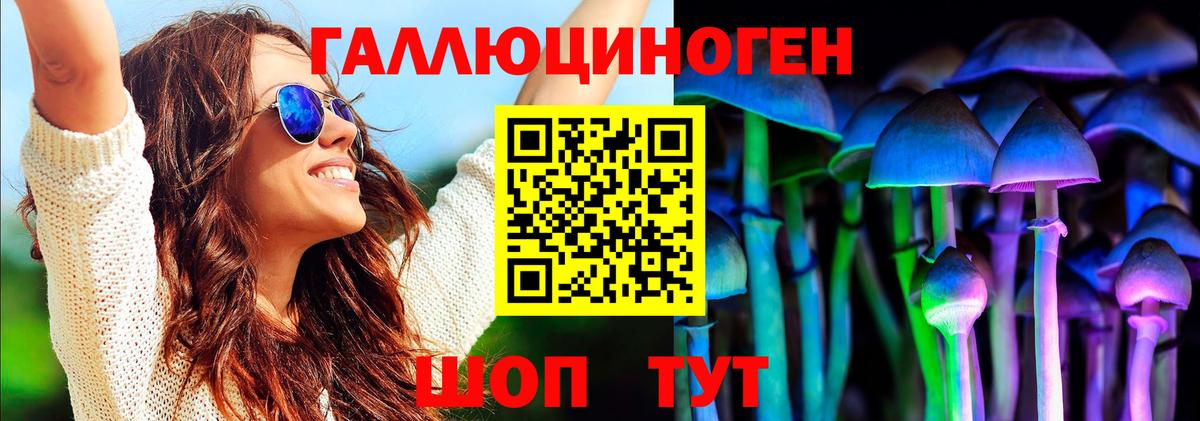 Псилоцибиновые грибы Psilocybe  Вход с VPN  Шебекино 