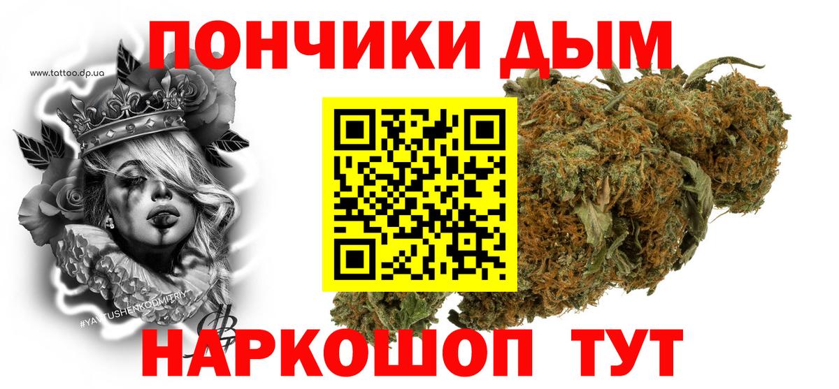 Бошки Шишки семена Шебекино